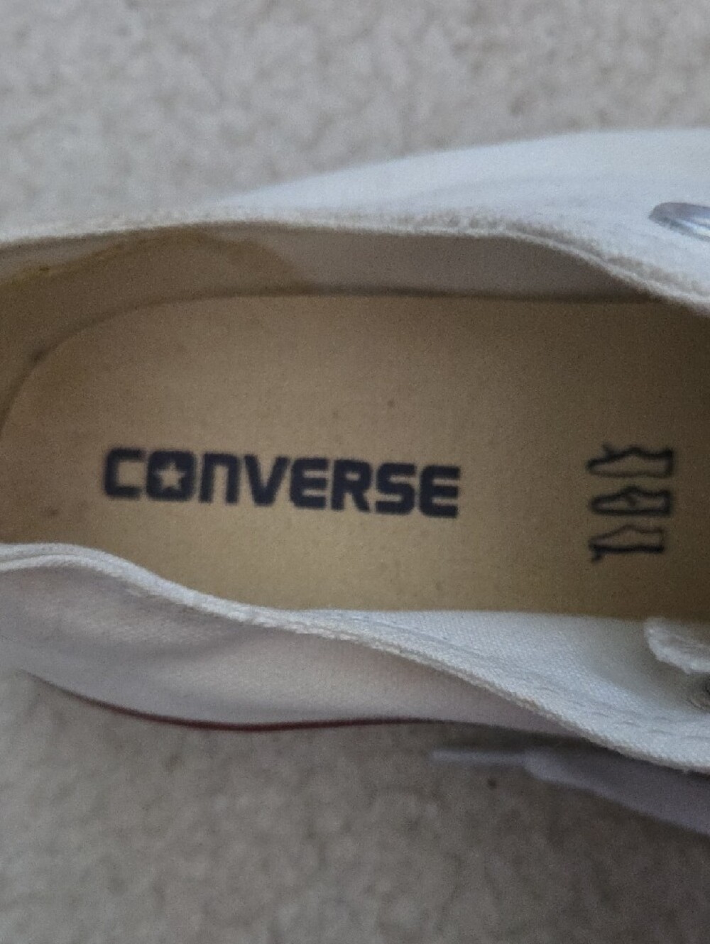 Converse Chuck Taylor All Star Low Top Sneaker In Cream & White - Picture 2 of 8